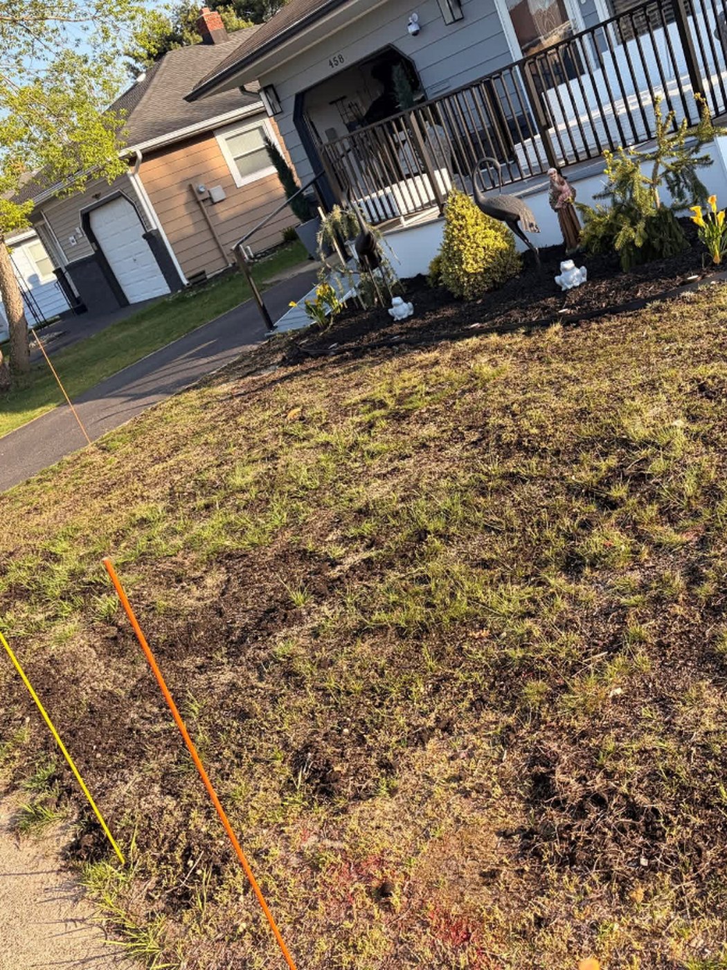 Front lawn stripped to dirt and freshly seeded, marker flags in place